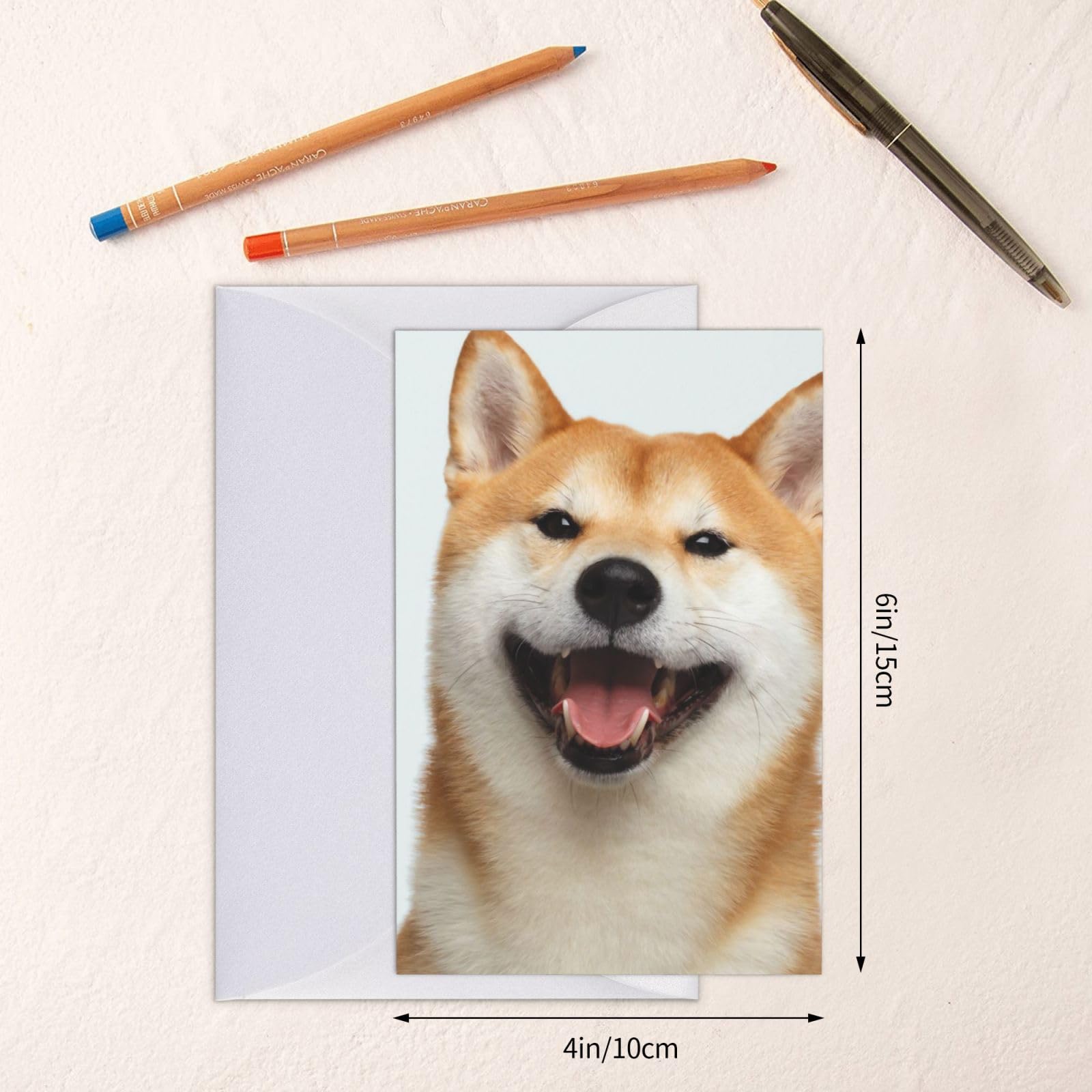 Amazon | ッセージカード レターカード 柴犬 いぬ 犬柄 かわいい